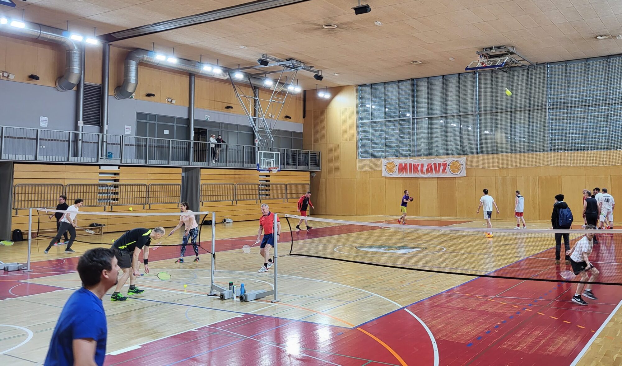 Društvo DTV Partizan Miklavž