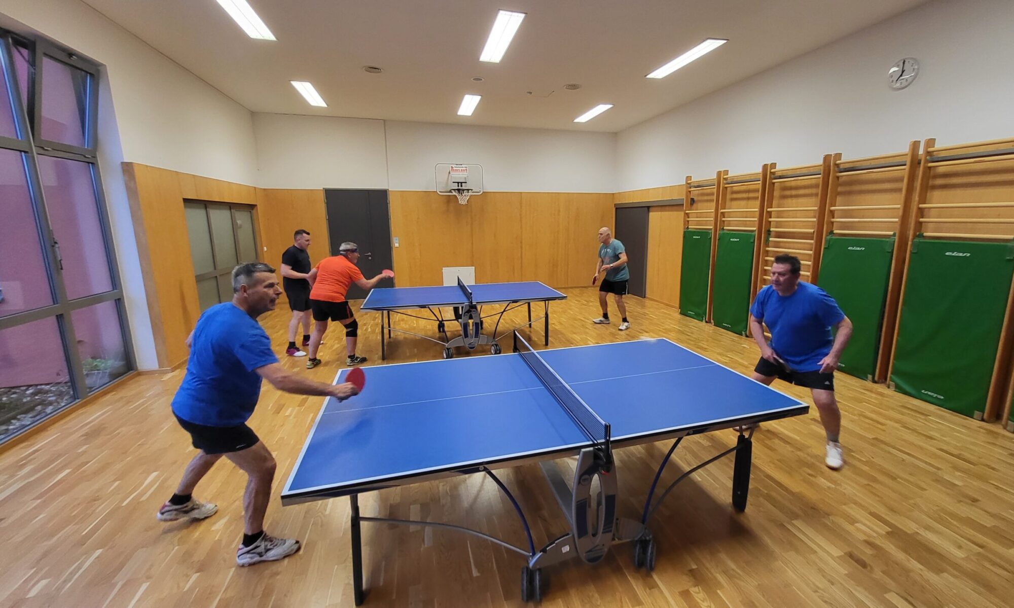 Društvo DTV Partizan Miklavž